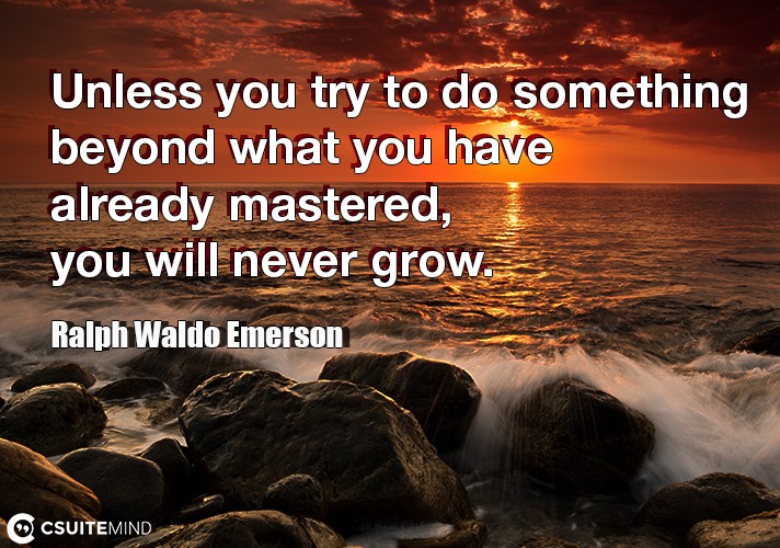 Unless you try to do something beyond what you have already mastered, you will never grow. 
