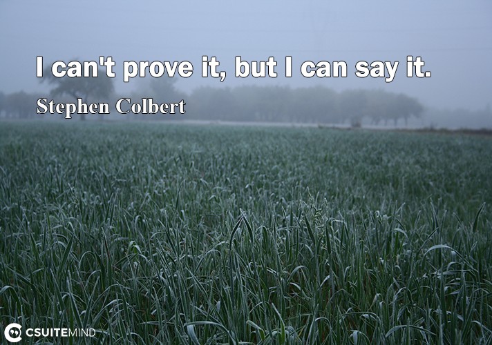 i-cant-prove-it-but-i-can-say-it