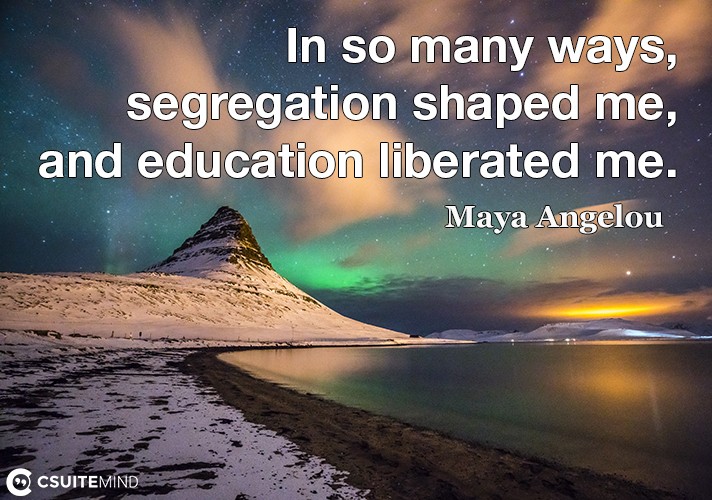 in-so-many-ways-segregation-shaped-me-and-education-libera