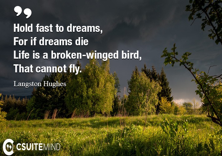 Hold fast to dreams,
For if dreams die
Life is a broken-winged bird,
That cannot fly.
