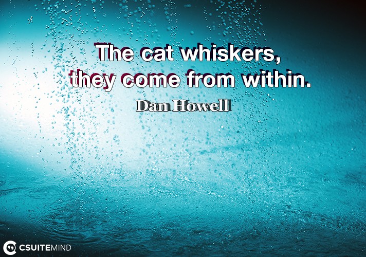 The cat whiskers, they come from within.