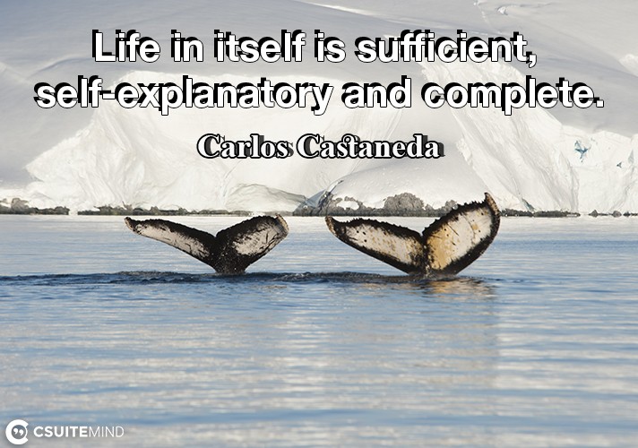 life-in-itself-is-sufficient-self-explanatory-and-complete