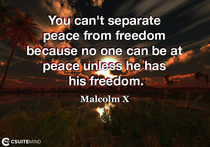 you-cant-separate-peace-from-freedom-because-no-one-can-be