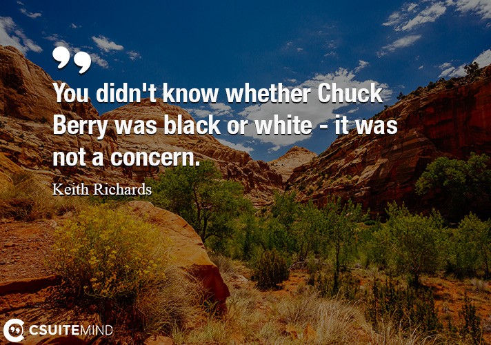 you-didnt-know-whether-chuck-berry-was-black-or-white-it