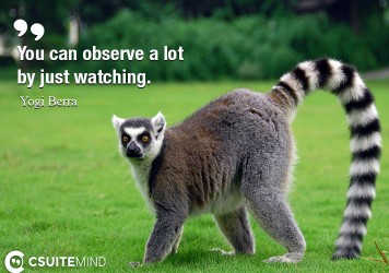 you-can-observe-a-lot-just-by-watching