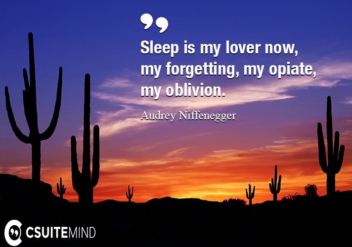 Sleep is my lover now, my forgetting, my opiate, my oblivion.