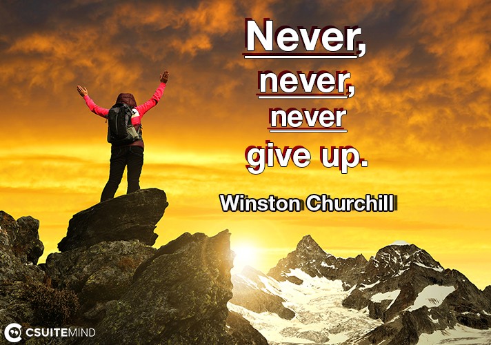 Never, never, never give up!
