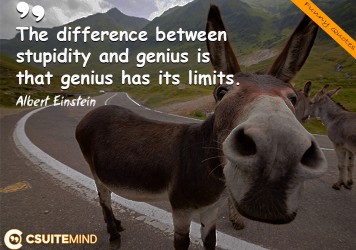 The difference between stupidity and genius is that genius has its limits. 