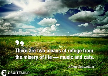 there-are-two-means-of-refuge-from-the-misery-of-life-musi
