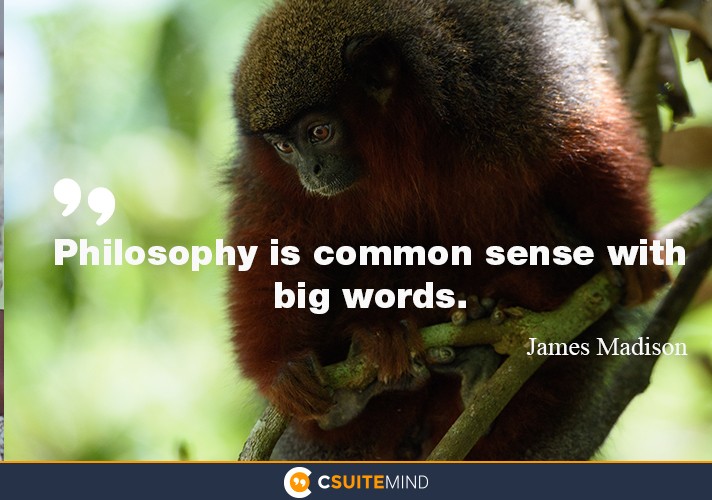 Philosophy is common sense with big words.”