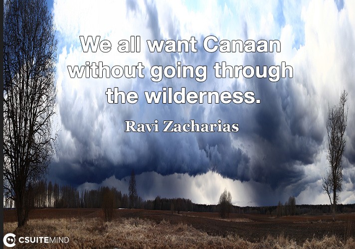 we-all-want-canaan-without-going-through-the-wilderness