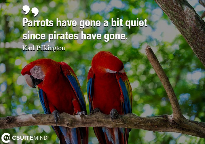 parrots-have-gone-a-bit-quiet-since-pirates-have-gone