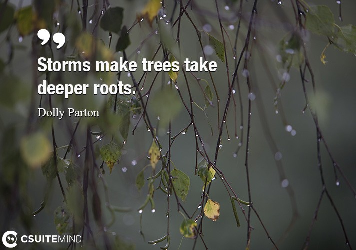 Storms make trees take deeper roots.