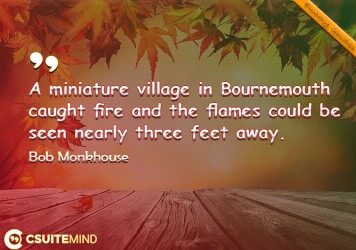A miniature village in Bournemouth caught fire and the flames could be seen nearly three feet away.