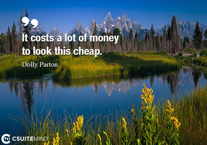 it-costs-a-lot-of-money-to-look-this-cheap