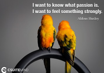i-want-to-know-what-passion-is-i-want-to-feel-something-str