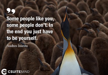 Some people like you, some people don't. In the end you just have to be yourself.