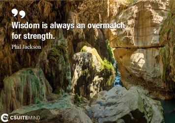 wisdom-is-always-an-overmatch-for-strength