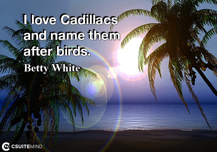 I love Cadillacs and name them after birds.