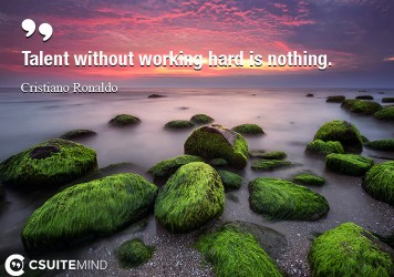 Talent without working hard is nothing.