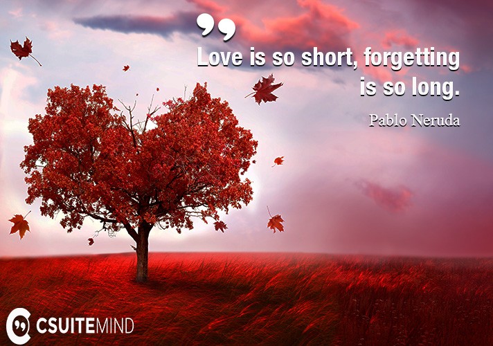 love-is-so-short-forgetting-is-so-long