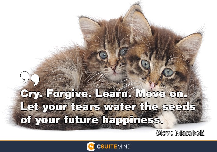Cry. Forgive. Learn. Move on. Let your tears water the seeds of your future happiness.