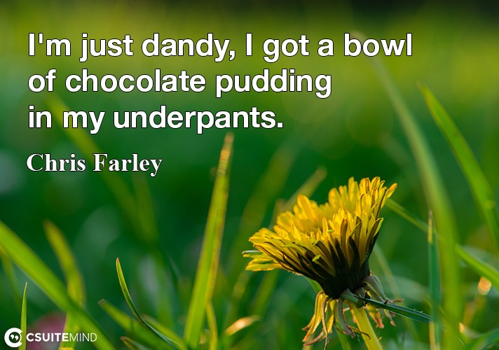 im-just-dandy-i-got-a-bowl-of-chocolate-pudding-in-my-unde