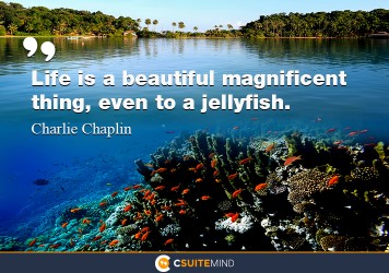 Life is a beautiful magnificent thing, even to a jellyfish.