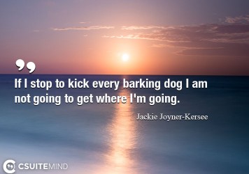 If I stop to kick every barking dog I am not going to get where I'm going.