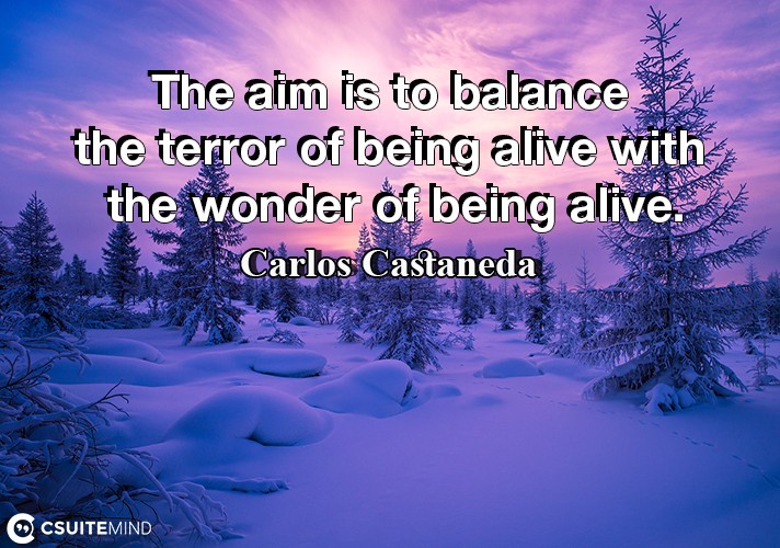 The aim is to balance the terror of being alive with the wonder of being alive.