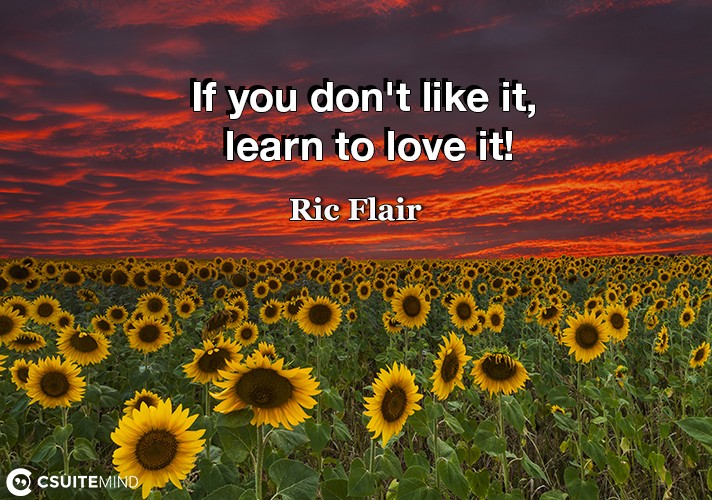  If you don't like it, learn to love it! 