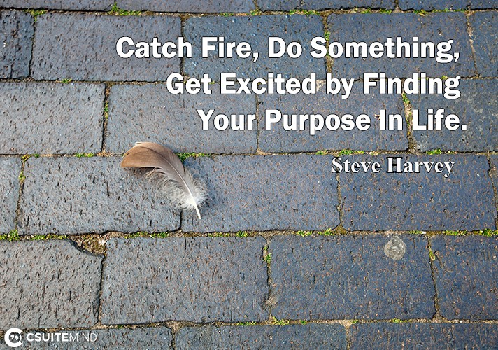 catch-fire-do-something-get-exsited-by-finding-your-purro