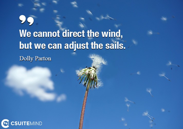 we-cannot-direct-the-wind-but-we-can-adjust-the-sails
